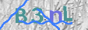 画像に表示された文字を入力して下さい