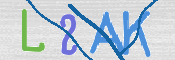 画像に表示された文字を入力して下さい