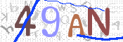 画像に表示された文字を入力して下さい