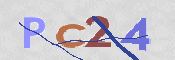 画像に表示された文字を入力して下さい