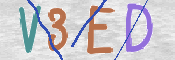画像に表示された文字を入力して下さい