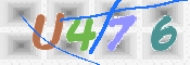 画像に表示された文字を入力して下さい
