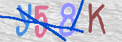 画像に表示された文字を入力して下さい