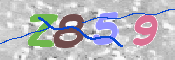 画像に表示された文字を入力して下さい