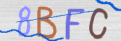 画像に表示された文字を入力して下さい