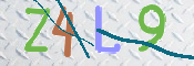 画像に表示された文字を入力して下さい