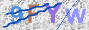 画像に表示された文字を入力して下さい