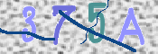 画像に表示された文字を入力して下さい