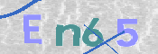 画像に表示された文字を入力して下さい