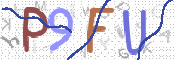 画像に表示された文字を入力して下さい