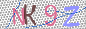 画像に表示された文字を入力して下さい