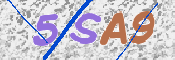 画像に表示された文字を入力して下さい