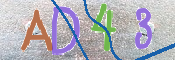 画像に表示された文字を入力して下さい