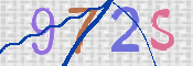 画像に表示された文字を入力して下さい