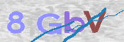 画像に表示された文字を入力して下さい