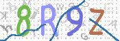 画像に表示された文字を入力して下さい