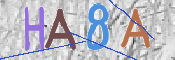 画像に表示された文字を入力して下さい