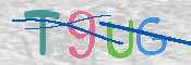 画像に表示された文字を入力して下さい