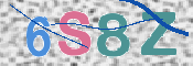 画像に表示された文字を入力して下さい