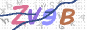 画像に表示された文字を入力して下さい