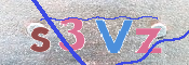 画像に表示された文字を入力して下さい