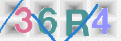 画像に表示された文字を入力して下さい