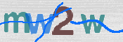 画像に表示された文字を入力して下さい