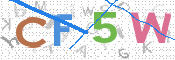 画像に表示された文字を入力して下さい