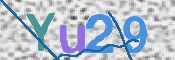 画像に表示された文字を入力して下さい
