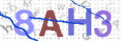 画像に表示された文字を入力して下さい