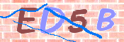 画像に表示された文字を入力して下さい
