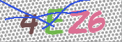 画像に表示された文字を入力して下さい