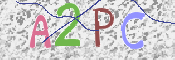 画像に表示された文字を入力して下さい