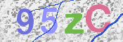 画像に表示された文字を入力して下さい