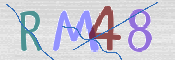 画像に表示された文字を入力して下さい