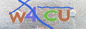 画像に表示された文字を入力して下さい