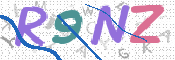 画像に表示された文字を入力して下さい