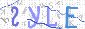 画像に表示された文字を入力して下さい