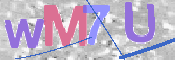 画像に表示された文字を入力して下さい