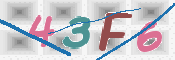 画像に表示された文字を入力して下さい
