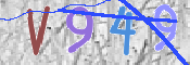 画像に表示された文字を入力して下さい