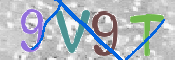 画像に表示された文字を入力して下さい