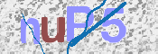 画像に表示された文字を入力して下さい