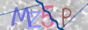 画像に表示された文字を入力して下さい