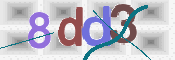 画像に表示された文字を入力して下さい