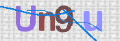 画像に表示された文字を入力して下さい