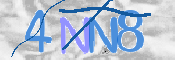 画像に表示された文字を入力して下さい