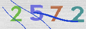 画像に表示された文字を入力して下さい