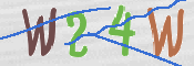 画像に表示された文字を入力して下さい