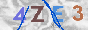 画像に表示された文字を入力して下さい